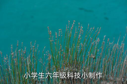 小學(xué)生六年級(jí)科技小制作