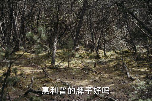 惠利普智能科技怎么樣，惠利普的牌子好嗎