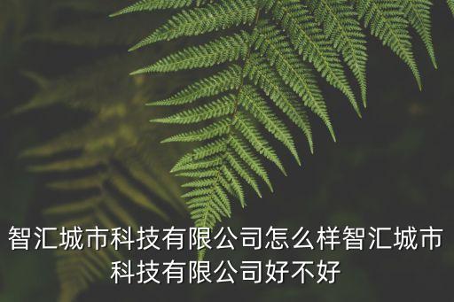 智匯城市科技有限公司怎么樣智匯城市科技有限公司好不好