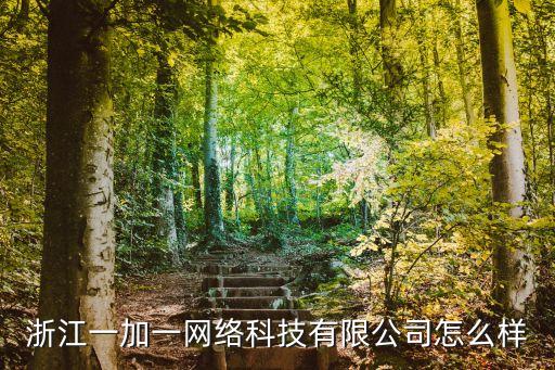 浙江一加一網(wǎng)絡科技有限公司怎么樣