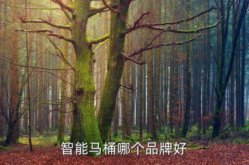 牧音智能科技馬桶怎么樣，智能馬桶好用嗎有什么優(yōu)勢