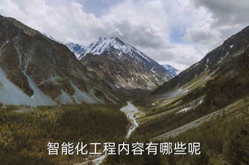 智能化工程內(nèi)容有哪些呢