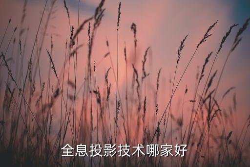 全息投影技術(shù)哪家好