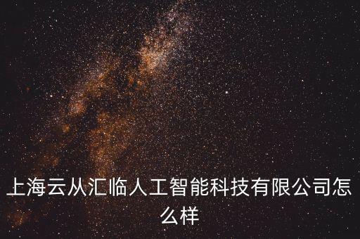 上海云從匯臨人工智能科技有限公司怎么樣