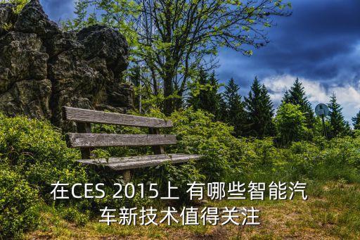 在CES 2015上 有哪些智能汽車新技術(shù)值得關(guān)注