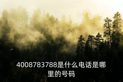 4008783788是什么電話是哪里的號(hào)碼