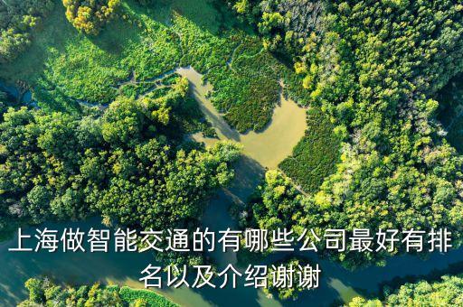 上海做智能交通的有哪些公司最好有排名以及介紹謝謝