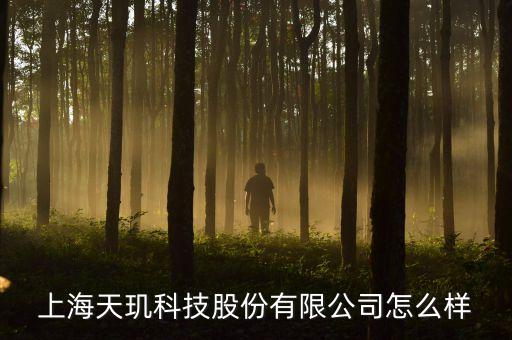 上海天璣科技股份有限公司怎么樣