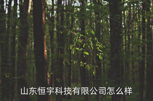 山東恒遠(yuǎn)智能科技 怎么樣，山東恒宇科技有限公司怎么樣