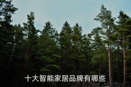十大智能家居品牌有哪些