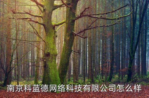 南京藍(lán)昊智能科技怎么樣，南京科藍(lán)德網(wǎng)絡(luò)科技有限公司怎么樣