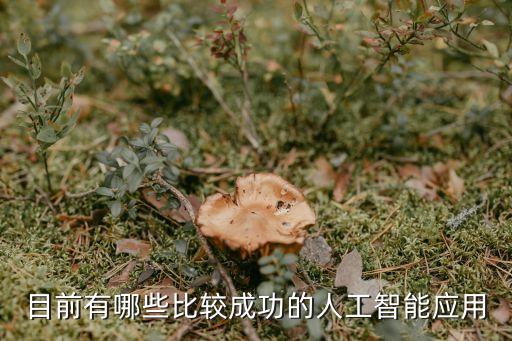目前有哪些比較成功的人工智能應(yīng)用