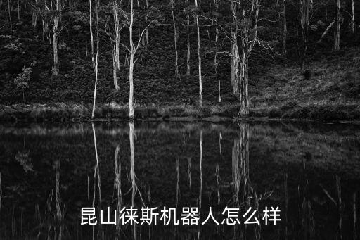 昆山智能高科技怎么樣，昆山徠斯機器人怎么樣