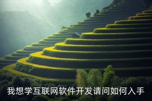 我想學互聯(lián)網(wǎng)軟件開發(fā)請問如何入手