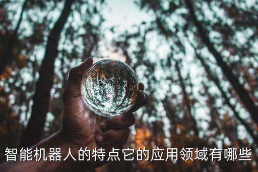 智能機器人的特點它的應(yīng)用領(lǐng)域有哪些