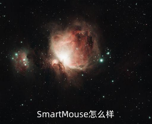 悠派智能展示科技怎么樣，航通悠派導(dǎo)航怎么樣4S店是這個但是網(wǎng)上查不到啊