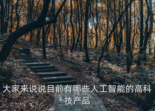 大家來說說目前有哪些人工智能的高科技產(chǎn)品