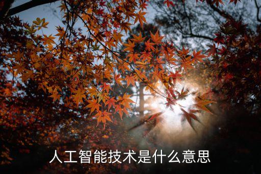 人工智能技術(shù)是什么意思