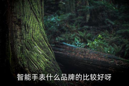 智能手表什么品牌的比較好呀