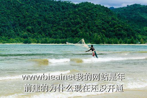 百度飛槳ai平臺(tái)，wwwbieainet我的網(wǎng)站是年前建的為什么現(xiàn)在還沒(méi)開(kāi)通