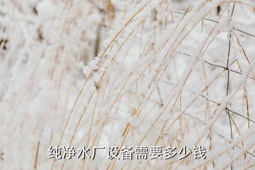 純凈水廠設(shè)備需要多少錢