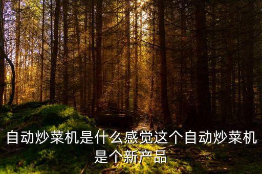 自動化炒菜設備，自動炒菜機是什么感覺這個自動炒菜機是個新產(chǎn)品