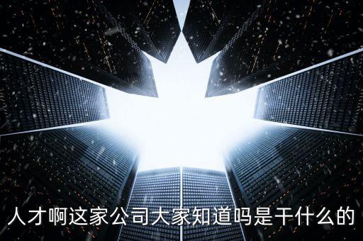 人才啊這家公司大家知道嗎是干什么的