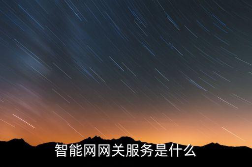 智能網(wǎng)網(wǎng)關(guān)服務(wù)是什么