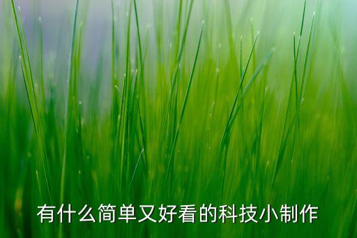 有什么簡(jiǎn)單又好看的科技小制作