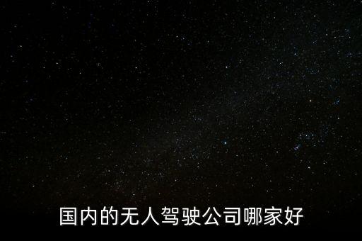 國內(nèi)的無人駕駛公司哪家好