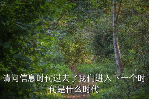 請問信息時代過去了我們進入下一個時代是什么時代