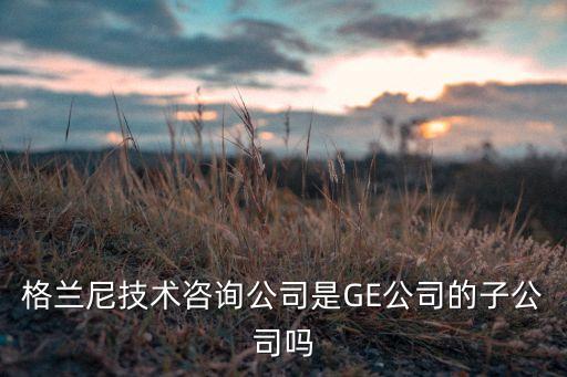 格蘭尼技術(shù)咨詢公司是GE公司的子公司嗎
