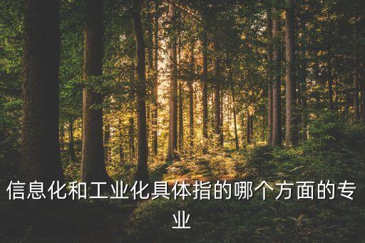 信息化和工業(yè)化具體指的哪個方面的專業(yè)