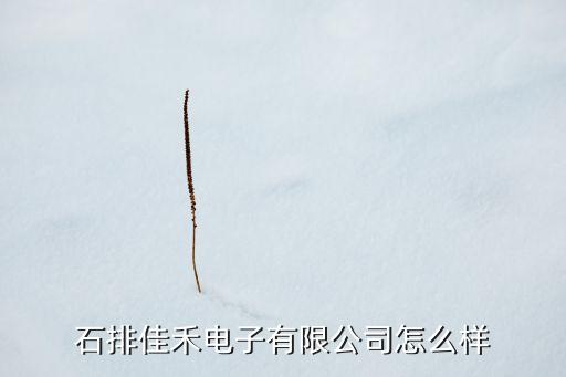 石排嘉禾智能科技怎么樣，石排佳禾電子有限公司怎么樣
