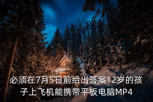 必須在7月5日前給出答案12歲的孩子上飛機(jī)能攜帶平板電腦MP4