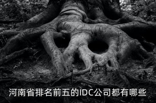 河南數(shù)據(jù)智能科技有哪些，河南省排名前五的IDC公司都有哪些