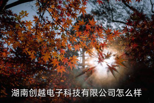 湖南創(chuàng)越電子科技有限公司怎么樣