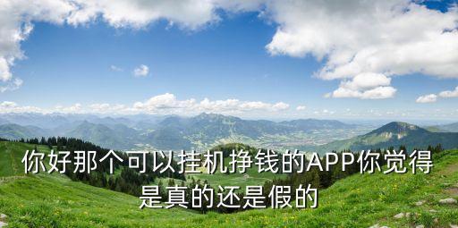 正規(guī)掛機(jī)賺錢平臺，你好那個可以掛機(jī)掙錢的APP你覺得是真的還是假的