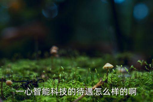 一心智能科技的待遇怎么樣的啊