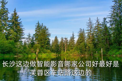 長(zhǎng)沙這邊做智能影音哪家公司好最好是芙蓉區(qū)車站路這邊的