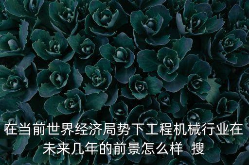 在當(dāng)前世界經(jīng)濟(jì)局勢(shì)下工程機(jī)械行業(yè)在未來(lái)幾年的前景怎么樣  搜