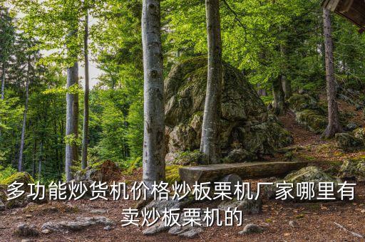 多功能炒貨機(jī)價(jià)格炒板栗機(jī)廠家哪里有賣(mài)炒板栗機(jī)的