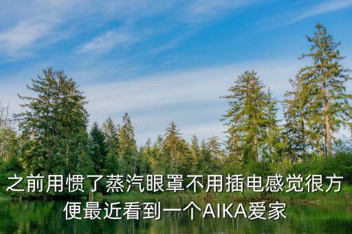 之前用慣了蒸汽眼罩不用插電感覺很方便最近看到一個AIKA愛家