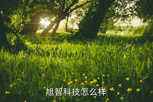 安徽旭尼智能科技怎么樣，旭智科技怎么樣