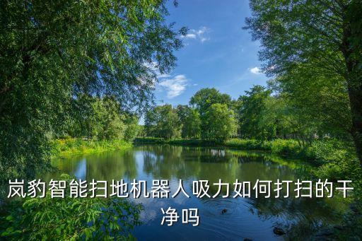 嵐豹智能科技怎么樣，嵐豹智能掃地機(jī)器人怎么樣