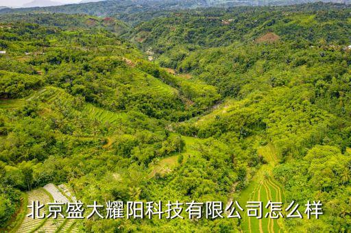 北京盛大耀陽(yáng)科技有限公司怎么樣