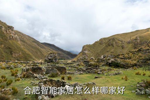 合肥品眾智能科技怎么樣，合肥智能家居怎么樣哪家好