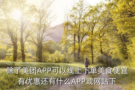 除了美團(tuán)APP可以線上下單美食便宜有優(yōu)惠還有什么APP或網(wǎng)站下