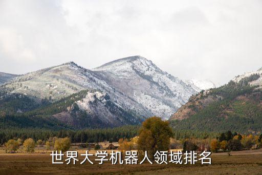 世界大學(xué)機(jī)器人領(lǐng)域排名