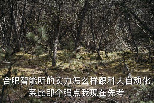 合肥寶資智能科技怎么樣，聯(lián)寶合肥電子科技有限公司工資待遇怎么樣